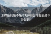 怎样鉴别是不是本地鸡 (怎样鉴别是不是钛钢)