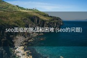 seo面临的挑战和困难 (seo的问题)
