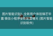 图片智能识别！全新用户体验锋芒毕露 微信小程序全新配置曝光 (图片智能识别软件)