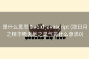 是什么意思 0 void javascript (取日月之精华吸天地之灵气是什么意思0)