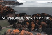 SEO内容页链接如何做好? (seo页面)