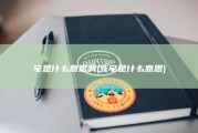 宅是什么意思啊 (死宅是什么意思)