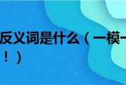直接的反义词是什么呢 直接和直接的区别是什么呢 (直接的反义词是什么)