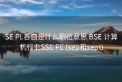 SE PL各自是什么职位意思 BSE 计算机行业SSE PE (sep和sept)