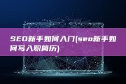 SEO新手如何入门 (seo新手如何写入职简历)