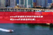 vivo开发者形式不时开着有影响吗 (vivo开发者选项在哪)