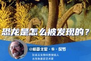 请问一下发现nfc标签的意思是什么 (请问一下发现孩子爸爸的微信给小三登陆怎么办)