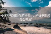 小米谷歌服务怎样开启 (小米谷歌服务怎么开启)