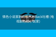 情色小说家剧场版PlayBack吐槽 (电视剧色情小说家)