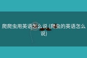 爬爬虫用英语怎么说 (爬虫的英语怎么说)