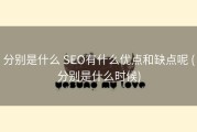 分别是什么 SEO有什么优点和缺点呢 (分别是什么时候)