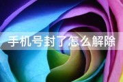 怎样封锁手机百度视频 (怎样封锁手机新浪网弹窗广告呢)