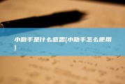 小助手是什么意思 (小助手怎么使用)