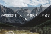 声响主播叫什么 (声响主播叫什么名字?)