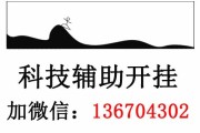 玩家必看教程!wepoker轻量版透视软件!(透视)2024最新研发科技-哔哩哔哩
