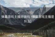 弹幕游戏主播好做吗 (弹幕游戏主播是什么)