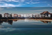 重定向 是什么意思? (重定向是什么意思)