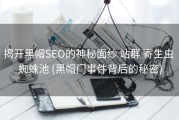 揭开黑帽SEO的神秘面纱 站群 寄生虫 蜘蛛池 (黑帽门事件背后的秘密)