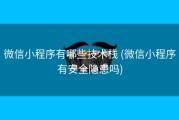 微信小程序有哪些技术栈 (微信小程序有安全隐患吗)