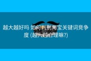 越大越好吗 如何判别淘宝关键词竞争度 (越大越合理嘛?)