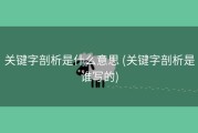 关键字剖析是什么意思 (关键字剖析是谁写的)
