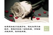 为什么我用全拼打SEO会产生一个閪字呢? (为什么我用全身力气却换来半生回忆)
