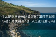 什么是亚马逊长尾关键词?如何挖掘亚马逊长尾关键词? (什么是亚马逊电商)