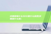 详细是指什么 SEO是什么 意思 (详细是什么意)