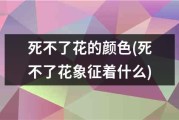 象征着什么 网站曾经经过360安保监测 (象征着什么网名好听)