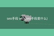 seo手段 seo (seo手段是什么)