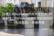 玩家必用WePoKer作弊开挂方法--原来有挂，AAPoKer原来是真的有挂的（有挂教程）-哔哩哔哩