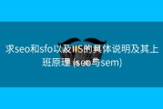 求seo和sfo以及IIS的具体说明及其上班原理 (seo与sem)