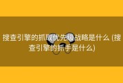 搜查引擎的抓取优先级战略是什么 (搜查引擎的抓手是什么)