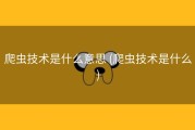 爬虫技术是什么意思 (爬虫技术是什么)