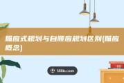 照应式规划与自顺应规划区别 (照应概念)