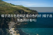 帽子选灰色的好还是白色的好 (帽子选灰色的好看吗)