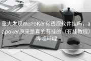 重大发现WePoKer有透视软件挂吗，aapoker原来是真的有挂的（有挂教程）-哔哩哔哩