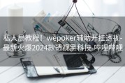 私人局教程！wepoker辅助开挂透视-最新火爆2024款透视黑科技-哔哩哔哩