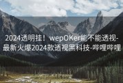 2024透明挂！wepOKer能不能透视-最新火爆2024款透视黑科技-哔哩哔哩
