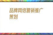 网络推行方案筹划书 (网络推行方案怎么写)