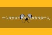 什么是搜查引擎爬虫 (搜查是指什么)