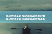 网址测试工具答疑湖南岚鸿怎样样 (网址测试工具定制 湖南岚鸿 好不好)