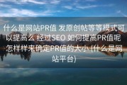 什么是网站PR值 发原创帖等等模式可以提高么 经过SEO 如何提高PR值呢 怎样样来确定PR值的大小 (什么是网站平台)