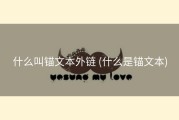 什么叫锚文本外链 (什么是锚文本)
