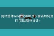网站整体seo优化策略及步骤该如何进行 (网站整体设计)