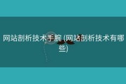 网站剖析技术手腕 (网站剖析技术有哪些)