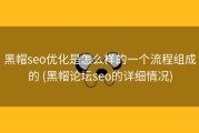 黑帽seo优化是怎么样的一个流程组成的 (黑帽论坛seo的详细情况)