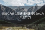 做SEO为什么要钻研关键词呢 (seo为什么不景气了)