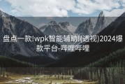 盘点一款!wpk智能辅助!(透视)2024爆款平台-哔哩哔哩