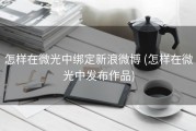 怎样在微光中绑定新浪微博 (怎样在微光中发布作品)